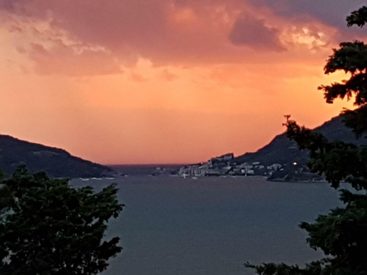 Ferienwohnung La Terrazza Sul Golfo Lerici Exterior foto